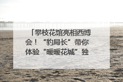 攀枝花馆亮相西博会！“豹局长”带你体验“暖暖花城”独特魅力｜西博视界