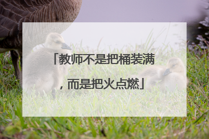 教师不是把桶装满，而是把火点燃