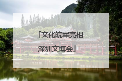文化皖军亮相深圳文博会
