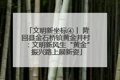 文明新坐标④丨 隆回县金石桥镇黄金井村：文明新风生“黄金” 振兴路上展新姿