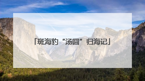 斑海豹“汤圆”归海记