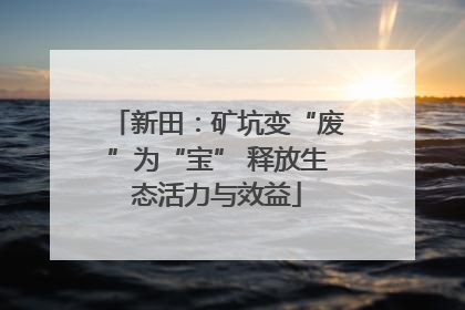 新田：矿坑变“废”为“宝” 释放生态活力与效益