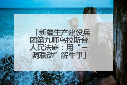 新疆生产建设兵团第九师乌拉斯台人民法庭：用“三调联动”解牛事
