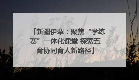 新疆伊犁：聚焦“学练赛”一体化课堂 探索五育协同育人新路径