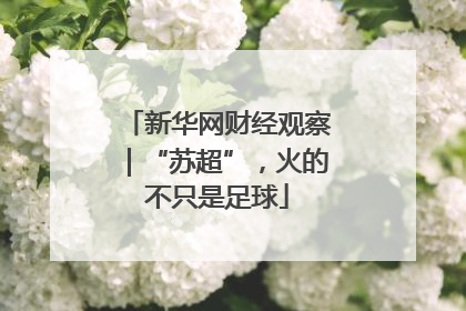 新华网财经观察｜“苏超”，火的不只是足球
