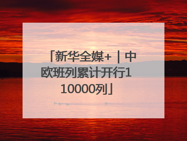 新华全媒+｜中欧班列累计开行110000列
