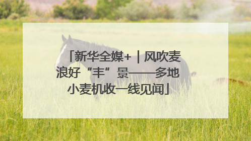 新华全媒+｜风吹麦浪好“丰”景——多地小麦机收一线见闻