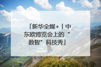 新华全媒+丨中东欧博览会上的“数智”科技秀