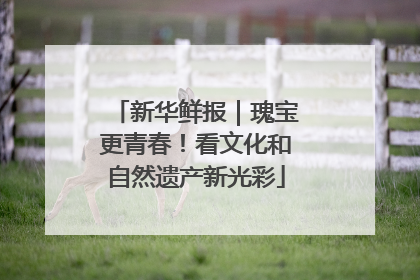 新华鲜报｜瑰宝更青春！看文化和自然遗产新光彩