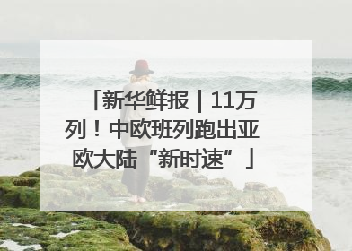 新华鲜报｜11万列！中欧班列跑出亚欧大陆“新时速”