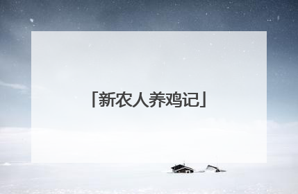 新农人养鸡记