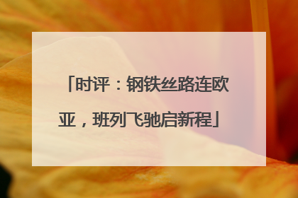 时评：钢铁丝路连欧亚，班列飞驰启新程