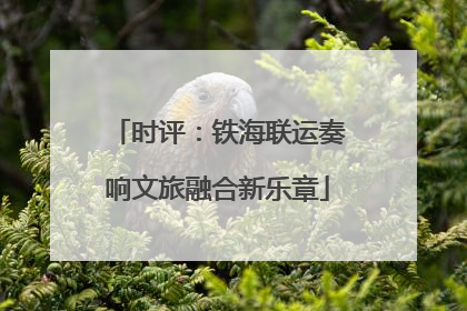 时评：铁海联运奏响文旅融合新乐章