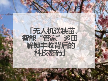 无人机送秧苗、智能“管家”巡田 解锁丰收背后的科技密码
