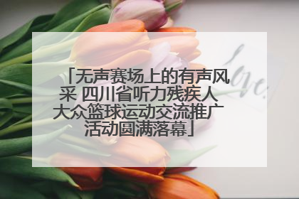 无声赛场上的有声风采 四川省听力残疾人大众篮球运动交流推广活动圆满落幕