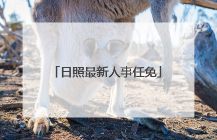 日照最新人事任免