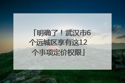 明确了！武汉市6个远城区享有这12个事项定价权限