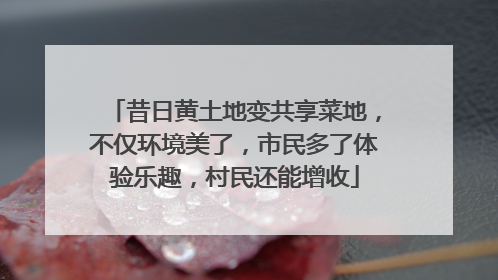 昔日黄土地变共享菜地，不仅环境美了，市民多了体验乐趣，村民还能增收
