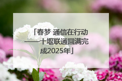 春梦 通信在行动——十堰联通圆满完成2025年