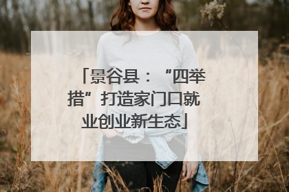 景谷县：“四举措”打造家门口就业创业新生态