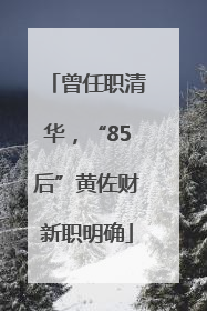 曾任职清华，“85后”黄佐财新职明确