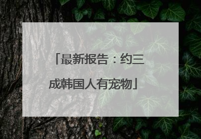 最新报告：约三成韩国人有宠物