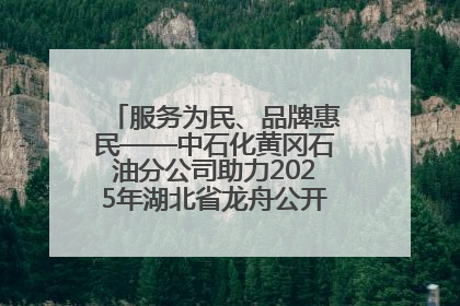 服务为民、品牌惠民——中石化黄冈石油分公司助力2025年湖北省龙舟公开赛（黄冈站）