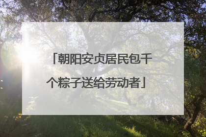 朝阳安贞居民包千个粽子送给劳动者