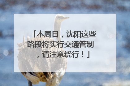 本周日，沈阳这些路段将实行交通管制，请注意绕行！