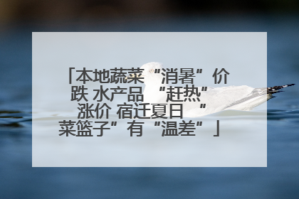 本地蔬菜“消暑”价跌 水产品 “赶热” 涨价 宿迁夏日 “菜篮子”有“温差”