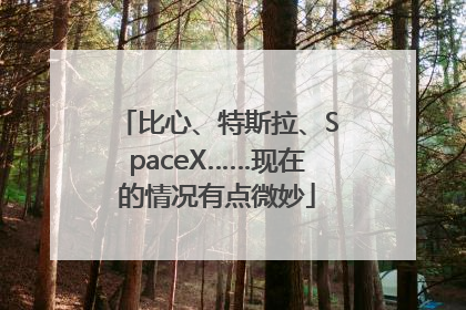 比心、特斯拉、SpaceX……现在的情况有点微妙