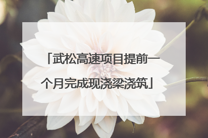 武松高速项目提前一个月完成现浇梁浇筑
