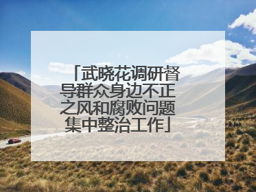 武晓花调研督导群众身边不正之风和腐败问题集中整治工作