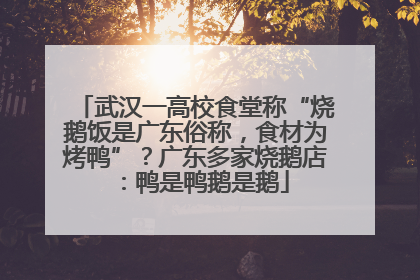武汉一高校食堂称“烧鹅饭是广东俗称，食材为烤鸭”？广东多家烧鹅店：鸭是鸭鹅是鹅