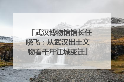 武汉博物馆馆长任晓飞：从武汉出土文物看千年江城变迁