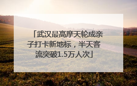 武汉最高摩天轮成亲子打卡新地标，半天客流突破1.5万人次
