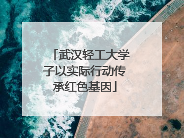 武汉轻工大学子以实际行动传承红色基因