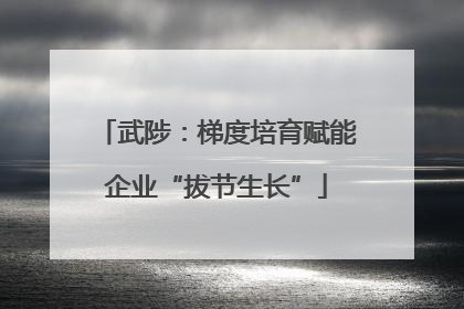 武陟：梯度培育赋能企业“拔节生长”