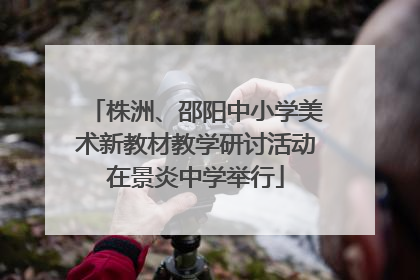 株洲、邵阳中小学美术新教材教学研讨活动在景炎中学举行