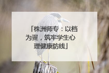 株洲师专：以档为翼，筑牢学生心理健康防线