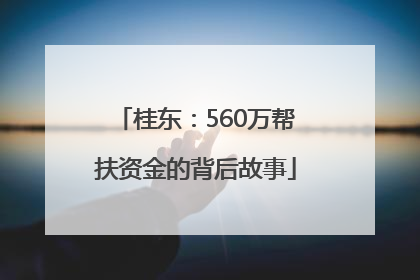 桂东：560万帮扶资金的背后故事