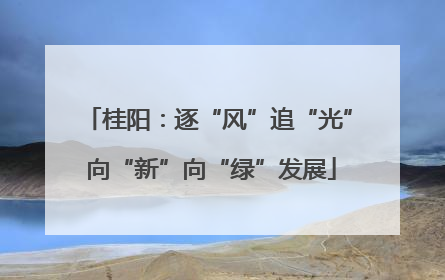 桂阳：逐“风”追“光” 向“新”向“绿”发展