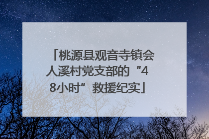 桃源县观音寺镇会人溪村党支部的“48小时”救援纪实