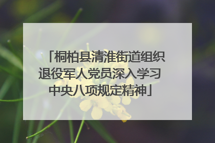 桐柏县清淮街道组织退役军人党员深入学习中央八项规定精神