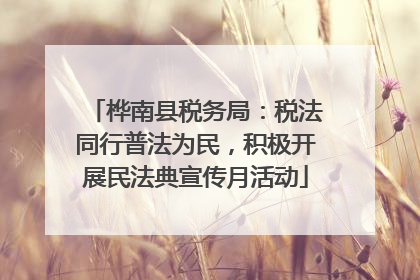 桦南县税务局：税法同行普法为民，积极开展民法典宣传月活动