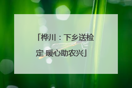 桦川：下乡送检定 暖心助农兴