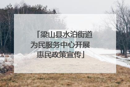 梁山县水泊街道为民服务中心开展惠民政策宣传
