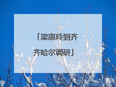 梁惠玲到齐齐哈尔调研