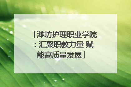 潍坊护理职业学院：汇聚职教力量 赋能高质量发展