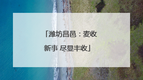 潍坊昌邑：麦收新事 尽显丰收